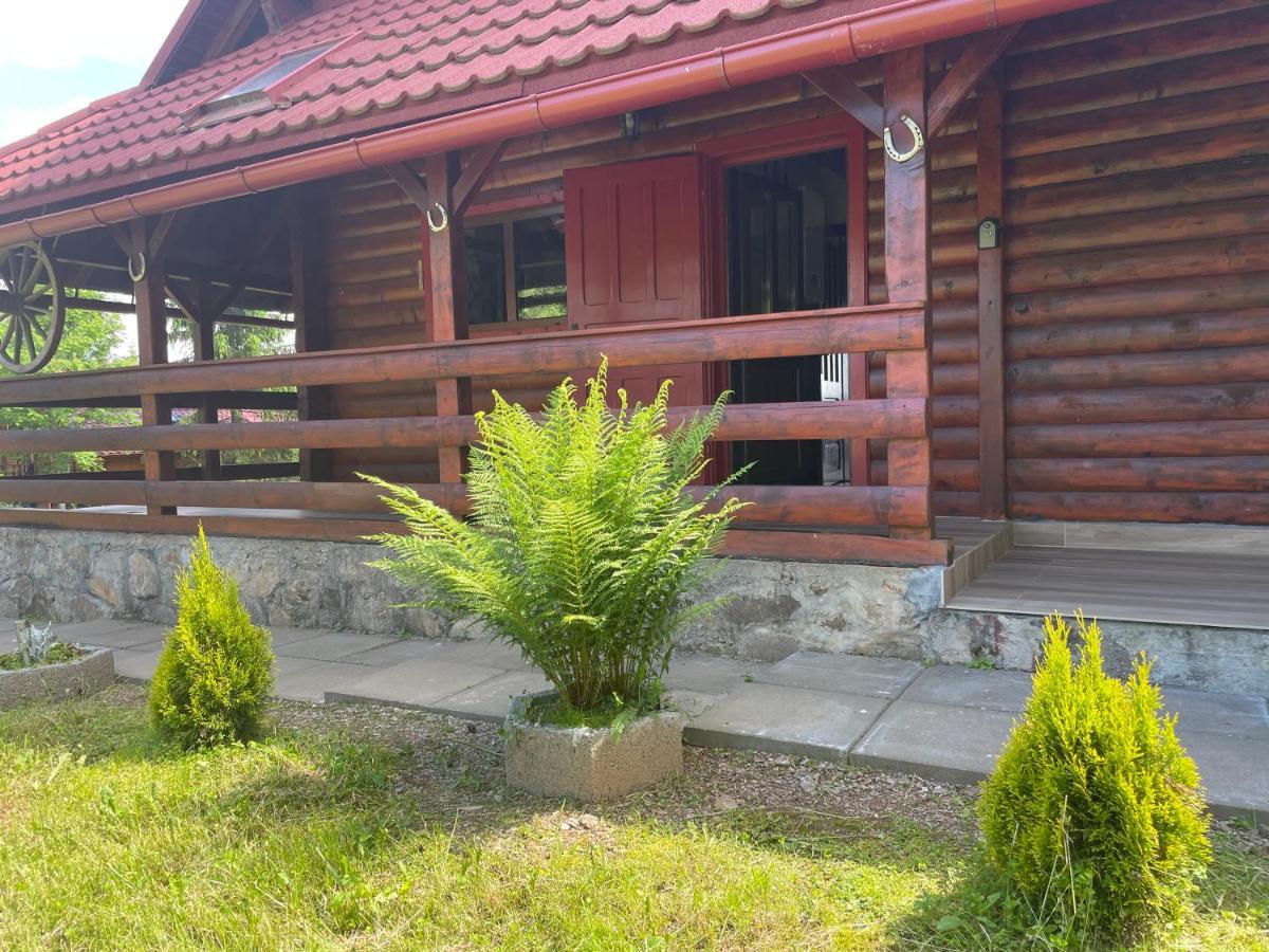 Cabana Transilvania Belis Exterior photo